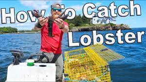 How To Catch Lobsters In Maine I Bought A Boat Episode 3 Youtube
