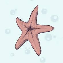 3,099 views, 141 upvotes, 30 comments. Starfish Gifs Tenor