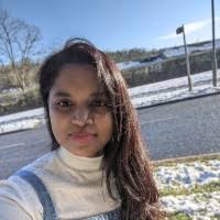 1600+ ".rajkumar" profiles