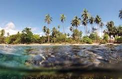 Image result for Solomon Sea