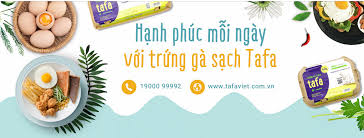CÔNG TY TNHH CHĂN NUÔI TAFA VIỆT Jobs | CareerLink.vn | CareerLink.vn