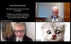 Judge roy ferguson shared the video on social media, advising people to ensure that filters are switched off before joining virtual hearings. Lawyer S Zoom Cat Filter Makes For A Hilarious Meme Thrillist