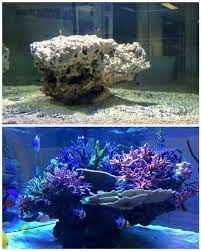 Mars Aqua 300 Watt Led Modification Mylife Saltwater Fish Tanks Reef Tank Aquascaping Aquarium Fish Tank