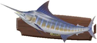 How much do blue marlin sell for animal crossing? Mounted Blue Marlin Price And Color Variations Acnh Animal Crossing New Horizons Switch Game8