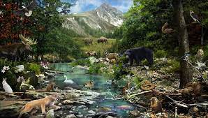 See more ideas about rainforest, rainforest animals, animals. Plants Animals Humans We Are All Of One Original Genome Big Think
