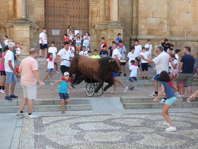 Música, toros y atracciones para la feria | Hoy
