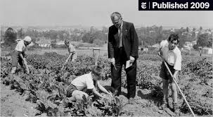 Australian Apologies To British Migrant Children Open Imperial Wounds The New York Times