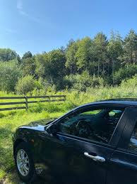 Image result for Blue Inca 2005 Alfa-Romeo