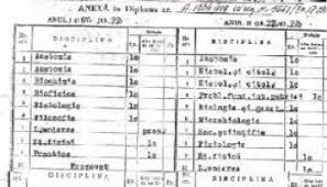 Hepatita cronica cu virus c. Diagnosticul De Hepatita Cronica Hepatita Cu Virus B Hepatita Cu Virus C Alte Cauze De Hepatita Cabinet De Gastroenterologie Si Hepatologie Bucuresti 0758 751 841 Cabinet De Gastroenterologie Si Hepatologie Bucuresti 0758 751 841