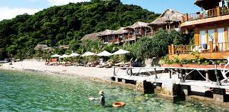 Restaurant and bars offer an array of local and international cuisines. Top 10 Resort Cat Ba Tá»'t Nháº¥t 2020 Cho Ká»³ Nghá»‰ DÆ°á»¡ng Cá»§a Báº¡n