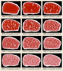 Japanese Bms Chart Wagyu Beef Kobe Beef Beef Steak