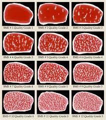 japanese bms chart wagyu beef kobe beef beef steak