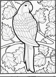 Pusheen cat was created in 2010 by claire belton and andrew duff. Lets Doodle Coloring Pages