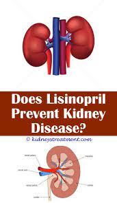 Pin On Kidney Disease
