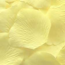 The yellow aesthetic has already taken our instagram and pinterest feeds! Light Yellow Aesthetic Pale Yellow Novocom Top