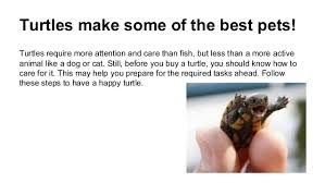 We have put together a list of the 15 best turtles and tortoises to help make the job of choosing. Taking Care Of A Pet Turtle