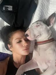 If you ever see your Bull Terrier behave normal, please go see a vet... 😅