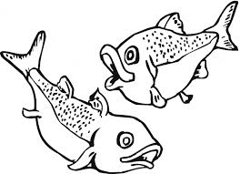 Select from 36048 printable coloring pages of cartoons, animals, nature, bible and many more. Salmon Coloring Page Animals Town Animal Color Sheets Salmon Picture
