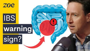 The New Eating Right for a Bad Gut" By James Scala