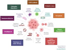 Frontiers | SLC7A11: the Achilles heel of tumor?
