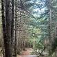 Chugach Hike: Explore Alaska's Playground