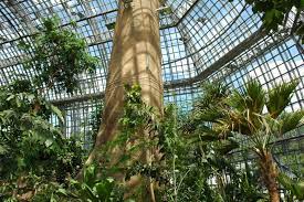 030 83 85 0…1 00. Tropenhaus Im Botanischen Garten Orte Fur Das Erste Date Top10berlin