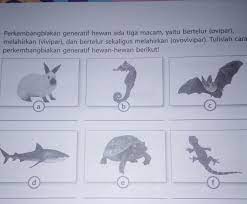 Jun 30, 2021 · ikan (pisces), yaitu hewan yang hidup didalam air, bernafas dengan insang dengan alat gerak berupa sirip dan berkembang biak dengan cara bertelur. Tolong Di Jawab Secepatnya Untuk Pr Plisss Brainly Co Id
