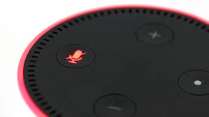 Maybe you would like to learn more about one of these? Alexa Findet Song Nicht Was Tun Chip