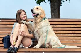 They do so by smell and knowing the actions of the handler when an issue is occurring. How Service Dogs Can Help Kids With Autism And Adhd Autism 360