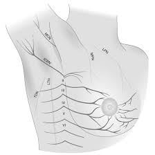 Pain under your right breast may indicate a health condition, like pleurisy or a hernia, or it could just be a simple rib injury. Intercostobrachial Neuralgia Armpit Nerve Pain Dr Jason Attaman Seattle Pain Management Doctor