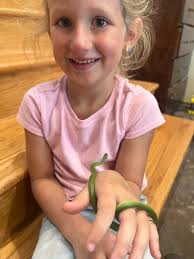 Green snakes and rainbows