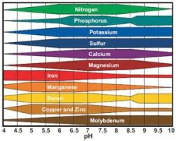 michigan state university offers tips on greenhouse soil