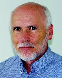 Collective motion of cells: from experiments to models