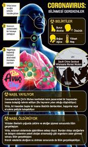 Cinli Corona Koronavirus Virus Belirtileri Ve Korunma Yollari Biravucbilgi Com In 2020 Health Conditions Symptoms Health