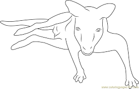 The size of a kangaroo also makes it easy to spot. Kangaroo Face Coloring Page For Kids Free Kangaroo Printable Coloring Pages Online For Kids Coloringpages101 Com Coloring Pages For Kids