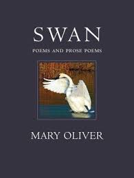 If You Suddenly And Unexpectedly Feel Joy Don T Hesitate Give Into It 42 Prose Poem Mary Oliver Mary Oliver Poems
