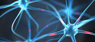 Последние твиты от sclerosi multipla (@sclerosiorg). Sclerosi Multipla Auxologico