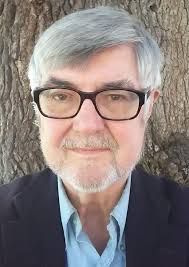 The Early Homosexual Rights Movement: (1864-1935): Lauritsen, John, Thorstad,  David: 9780878100415: Books