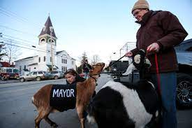 images?q=tbn:ANd9GcSGuGnJS7cmx8bpql6E0L8