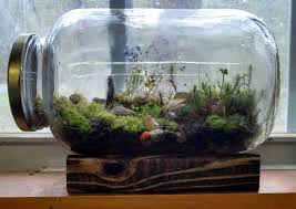 Un Mini Terrarium Fait Maison 20 Idees Tutoriel Video Terrariumideascoffeetable Garden Terrarium Mini Garden Garden Ideas Homemade