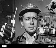 James reynolds Black and White Stock Photos & Images