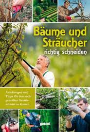 Pflege für junge bis alte hecken. Baume Und Straucher Richtig Schneiden Buch Thalia