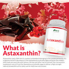 Image result for Astaxanthin