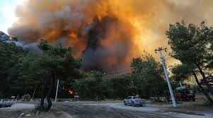 Arsonists are suspected as wildfires raging across southern turkey kill four and injure 180 more, causing the evacuation of homes and hotels in bodrum and marmaris. Nkcxl6nzlayarm