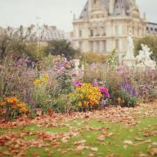 Tuileries Tuileries Garden Beautiful Places Places To Go