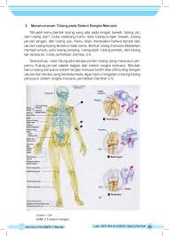 If you are using mobile phone, you could also use menu drawer from browser. Nama Latin Tulang Manusia Pmr Wira 11 Makassar Cute766