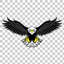 Eagle Hawk Kite Bird Png Image With Transparent Background Png Images New Background Images Blur Photo Background