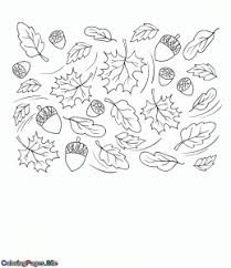 Acorn coloring pages to print. Best Fall Coloring Pages Coloring Pages For Kids To Print For Free