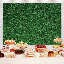 Check spelling or type a new query. Green Artificial Grass Backdrop For Party Lawn Nature Grass Photo Background Birthday Party Decorations Baby Shower Banner Bridal Shower Favors Newborn Photography Props Photo Booth Backdrop 7x5ft Amazon Co Uk Electronics Photo