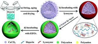Encapsulation is used to hide the values or state of a structured data object inside a class, preventing direct. A Facile And Efficient Strategy To Encapsulate The Model Basic Protein Lysozyme Into Porous Caco3 Journal Of Materials Chemistry B Rsc Publishing